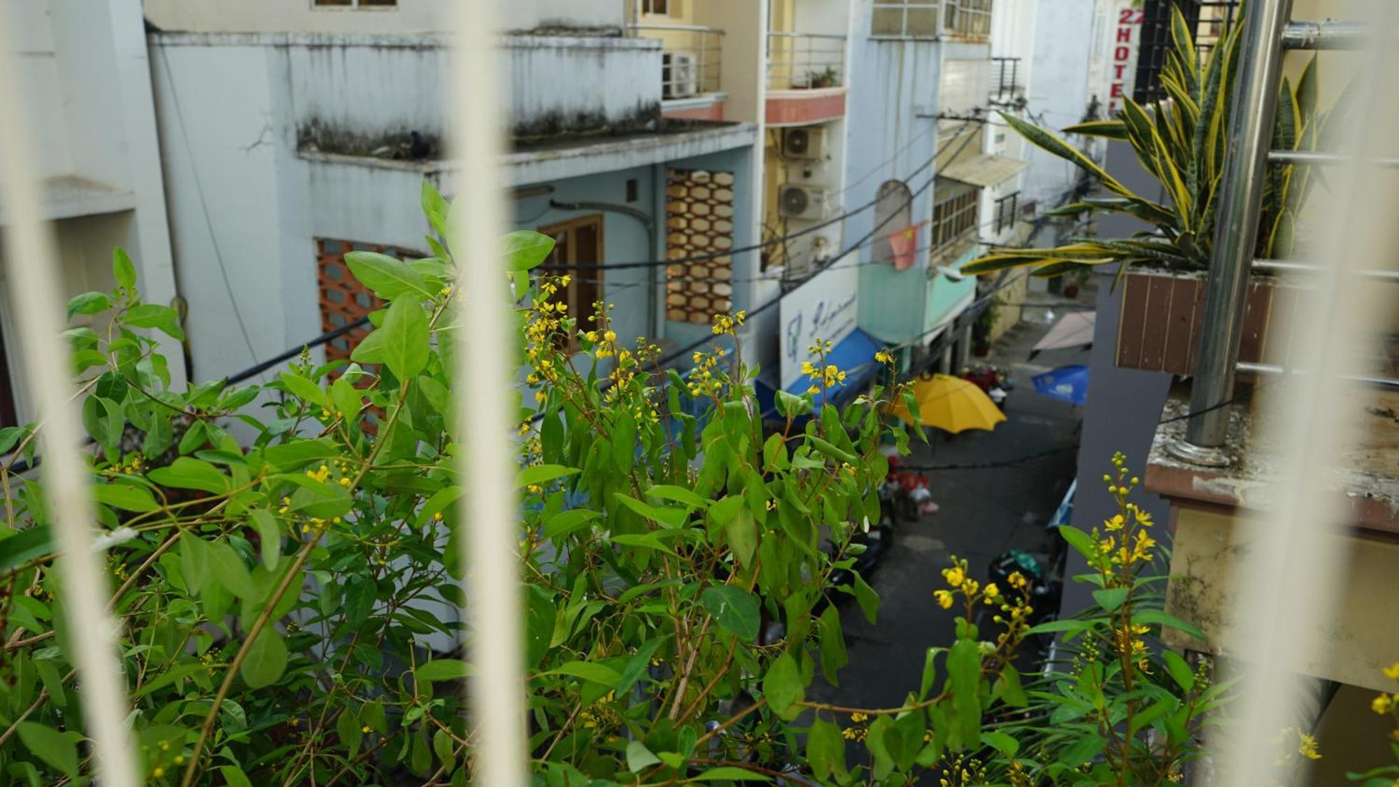 Maiam Homestay Cidade de Ho Chi Minh Exterior foto